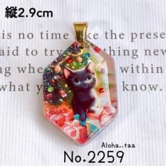 同梱値引100円❤️No.2259 レジン ペンダントトップ 猫 ネコ ねこ