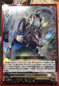 ヴァンガード　せるがおん　TDRのサムネイル