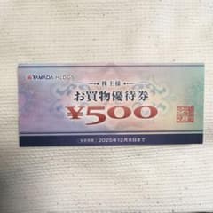 YAMADA HLDGS. お買物優待券 ¥500