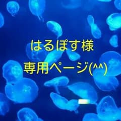 はるぽす様専用ページ(^^)のサムネイル