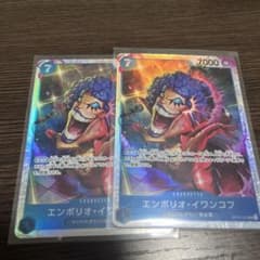 イワンコフsr 2枚セットのサムネイル