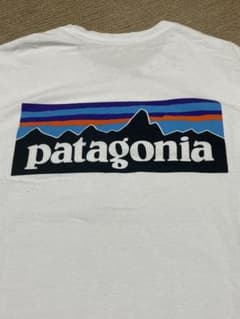 【吉田ナッツ様専用】patagonia パタゴニア Tシャツのサムネイル
