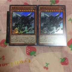 真竜王リトスアジムD二枚セットのサムネイル