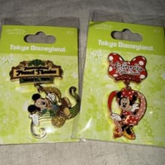 ディズニーランド スタイルスタジオ　フォレストシアター　ピンバッジ