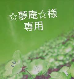 ★ 売切セール ★ 2004 珍品  富士山  四季 プレート 4枚 セットのサムネイル