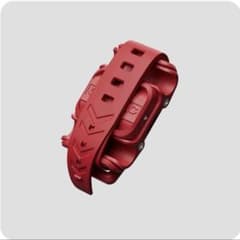 新品未開封】Clipstic Plus スキー ストラップ バンド - メルカリ