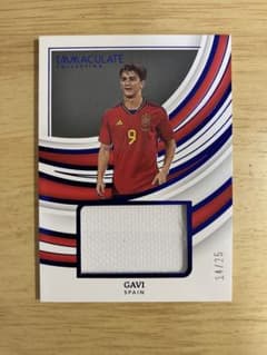 GAVI remarkable memorabilia 14/25のサムネイル