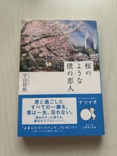 桜のような僕の恋人 宇山佳祐のサムネイル