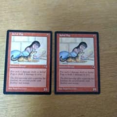 MTG Jackal Pup 英語版 2枚セット - メルカリ