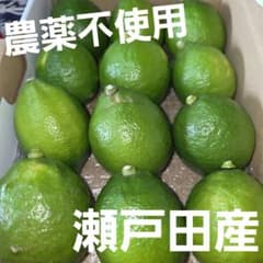 広島県瀬戸田産　グリーンレモン　農薬不使用のサムネイル