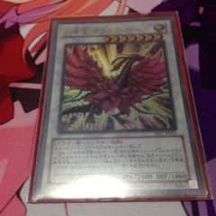 月華竜ブラックローズのサムネイル