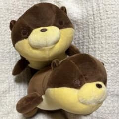 カワウソ ぬいぐるみ 3等 2点セットのサムネイル