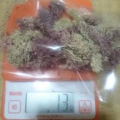 専用ですのサムネイル