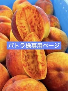 パトラページ ワッサー5kg 大サイズ＋おどろき桃5kg 大玉サイズ パトラ様専用ページ ワッサー5kg 大サイズ＋おどろき桃5kg 大玉サイズ