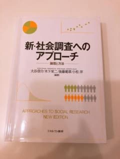 新・社会調査へのアプローチ : 論理と方法のサムネイル
