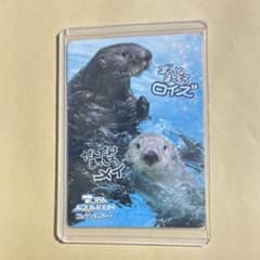 鳥羽水族館 コレクションカード ロイズ メイ - メルカリ