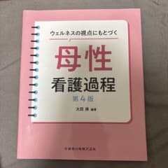 ウェルネスの視点にもとづく母性看護過程のサムネイル