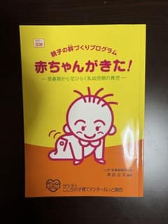 赤ちゃんがきた！ 親子の絆づくりプログラム　本のサムネイル