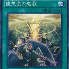 専用堕天使の追放 3枚のサムネイル