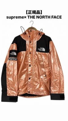 Supreme THE NORTH FACE マウンテンパーカー Sのサムネイル