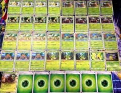 ポケモンカード「ドダイトスex ナエトル ハヤシガメ ドタイトス