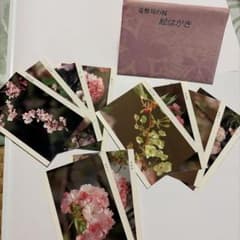 造幣局の桜 絵はがき 第五集　10枚セットのサムネイル