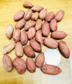 落花生　おおまさりの種　30粒のサムネイル