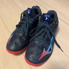 ミズノ　MIZUNO 25.5