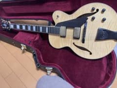 国産フルアコ】D'Aquisto DQ-JZ-JR Jazz Line - メルカリ