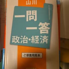 山川 一問一答 政治・経済のサムネイル