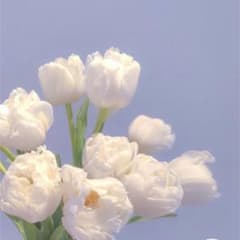 ぷさん 専用のサムネイル