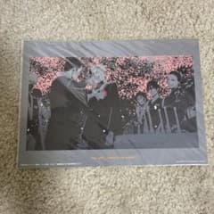 NARUTO 이치 반 쿠지 비주얼 시트 결혼식 나루토 돌고래 카카시