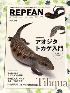 REPFAN レプファン vol.08 「アオジタトカゲ入門」のサムネイル