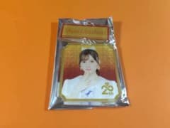 水島美結 AKB48 SPECIALくじ 2連アクリルキーホルダー 日本武道館