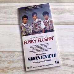 少年隊   FUNKY FLUSHI' シングルCDのサムネイル