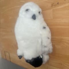 ハリー・ポッター ヘドウィグ 腕乗せぬいぐるみのサムネイル