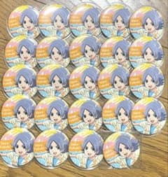 イナズマイレブン 吹雪士郎 缶バッジ24個のサムネイル