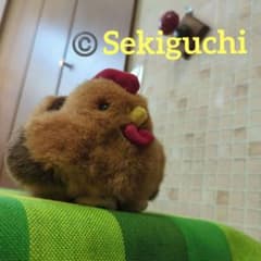昭和レトロ・セキグチ・鶏のぬいぐるみ・当時物・当初品 - メルカリ