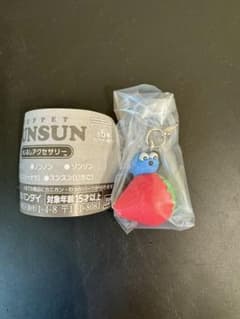 PUPPET SUNSUN めじるしアクセサリー スンスン いちご ガチャのサムネイル