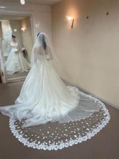Veil Trends ロングベール　トリートドレッシングのサムネイル