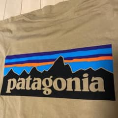 パタゴニア  Tシャツ　オーガニックのサムネイル