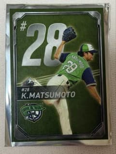 ヤクルトスワローズ 燕プロ グルメカード 松本健吾