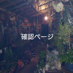 確認ページのサムネイル