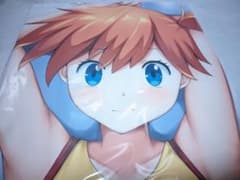 カスミ 抱き枕カバー ライクトロン ラッコパーティー ポケモン 世界の 