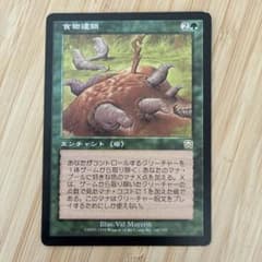 MTG 食物連鎖 日本語版のサムネイル
