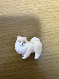 ふり向けば君が…犬「歩み」 ポメラニアン (クリーム)のサムネイル