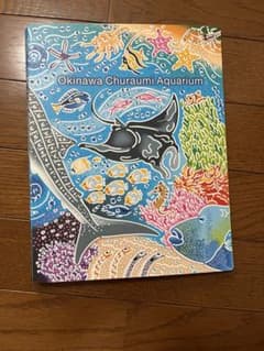 沖縄美ら海水族館 美ら海観察ガイド クリアファイルのサムネイル