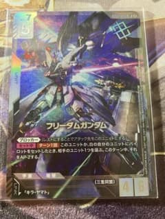 フリーダムガンダム　ニュータイプチャレンジ　ガンダムカードゲーム ガンダムカードゲーム フリーダムガンダム ニュータイプチャレンジ2026