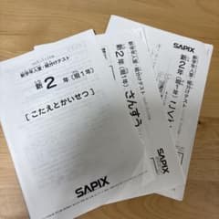 SAPIX 新2年（現1年）組分け入室テスト 算数・国語・サピックス2022
