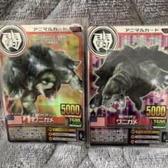 アニマルカイザー　　ワニガメ　2枚セットのサムネイル